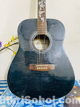 rogers guiter DL-17F